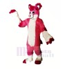 Rose Rauque Chien Mascotte Les costumes