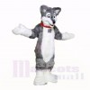 Gris Poids léger Rauque Chien Costumes De Mascotte École