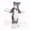 Gris Poids léger Rauque Chien Costumes De Mascotte École