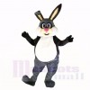 gris Amical Poids léger lapin Costumes De Mascotte Dessin animé