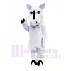 Rhinocéros blanc Costumes De Mascotte