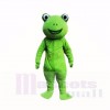 vert La grenouille Costumes De Mascotte Dessin animé