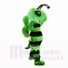 Amical vert abeille Costumes De Mascotte Adulte