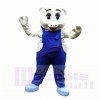 sport Porc avec Bleu Salopette Costumes De Mascotte École