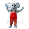 Heureux Gris Koala Mascotte Les costumes Pas cher