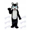 Long-haired Black Wolf Mascot Adult Costume