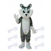 Gros Gris Loup Mascotte Costume adulte Animal