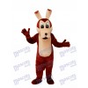 Coyotes Mascotte Costume adulte Animal