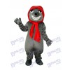 Gris Mal Loup Adulte Mascotte Costume Animal