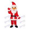 Santa Claus Mascot Adult Costume