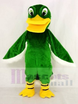 Marrant vert canard Mascotte Costume École