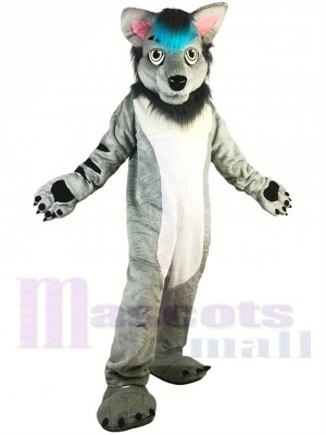 Loup gris Costume de mascotte
