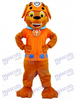 La Pat' Patrouill Sauveteur d'eau de chocolat Labrador Pup Paw Patrol Zuma Costume de mascotte de chien