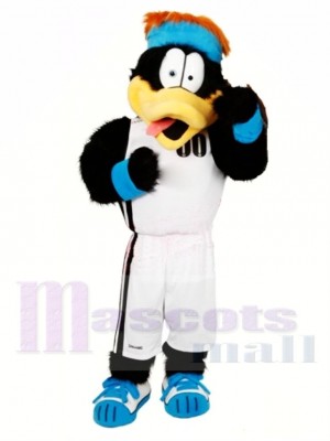 sport Noir canard Costume de mascotte