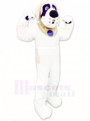 Charmant Saint-Bernard Chien Costume de mascotte