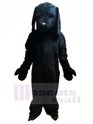 Tout Noir Chien Mascotte Les costumes Animal