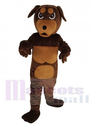 Chien Rottweiler costume de mascotte