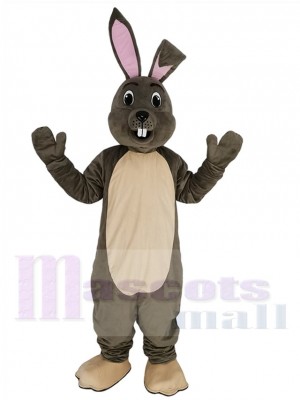 Joyeux lapin de Pâques gris Mascotte Costume Animal