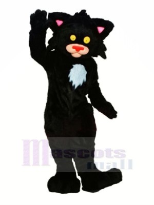 Noir Minou Chat Mascotte Les costumes Animal