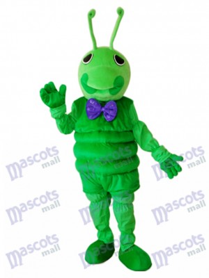 Verte Mascotte Costume adulte Insecte