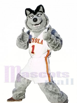 Loup gris Équipe de football sportif Costume de mascotte