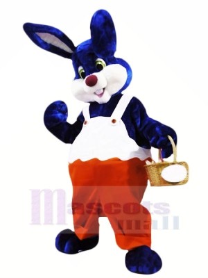 Bleu et blanc lapin Mascotte Les costumes Animal