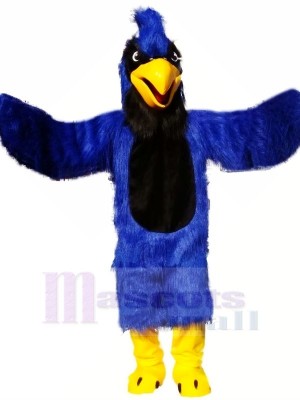 Bleu Sauvage Aigle Mascotte Les costumes Animal