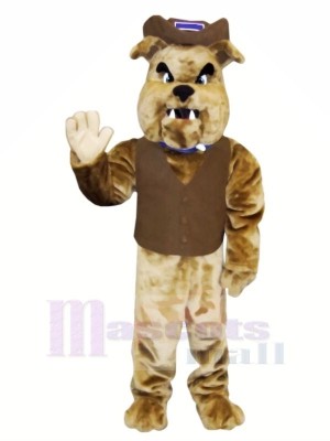 marron Bouledogue avec Gilet Mascotte Les costumes Animal