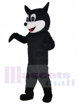 Chat costume de mascotte
