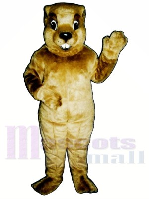 Marmotte Costumes De Mascotte