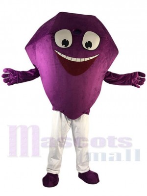 Diamant violet Mascotte Costume Dessin animé