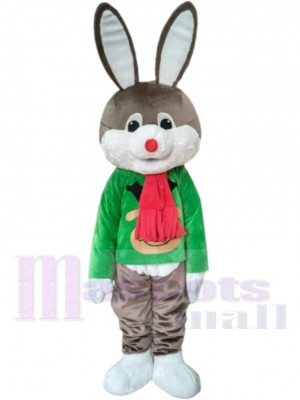 Lapin d'école Mascotte Costume Animal au nez rouge