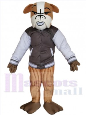 Bouledogue costume de mascotte