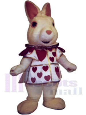 Gentil Lapin Mascotte Costume Animal