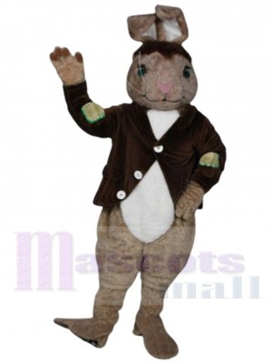 Patches le lapin Mascotte Costume Animal