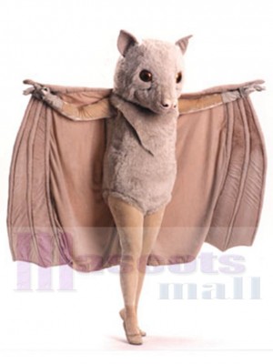 Chauve-souris Stellaluna costume de mascotte