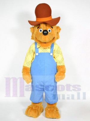 Les ours de Berenstain papa Ours costume de mascotte
