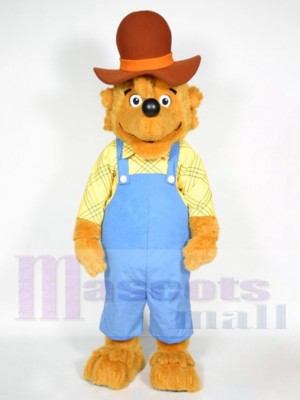 Les ours de Berenstain papa Ours Mascotte Costume Dessin animé