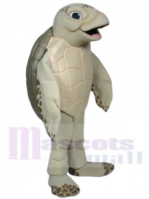 Luna la tortue de mer Mascotte Costume Animal