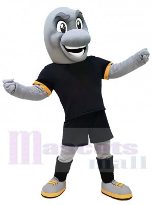 Dauphin sportif Mascotte Costume Pour les têtes de mascotte adultes