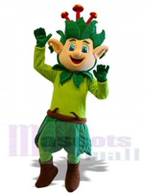 Elfe costume de mascotte