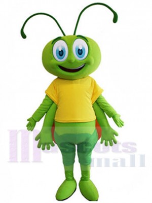 Abeille verte mignonne Mascotte Costume Insecte