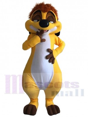 Timon suricate Mascotte Costume Le roi Lion Dessin animé