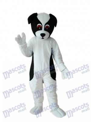 Mascotte de chien coloré Costume adulte Animal