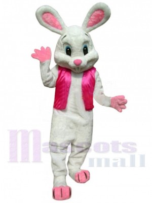 Lapin de Pâques costume de mascotte
