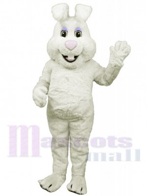 Lapin de Pâques costume de mascotte