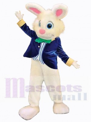 Lapin de Pâques costume de mascotte