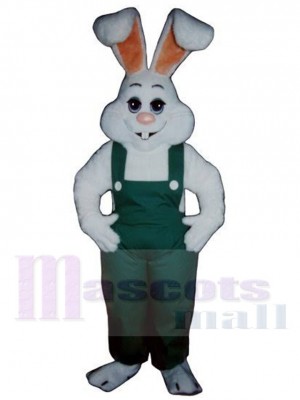 Lapin de Pâques costume de mascotte