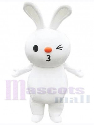 Lapin de Pâques costume de mascotte