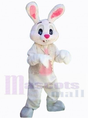 Lapin de Pâques costume de mascotte